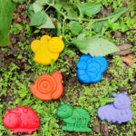 **New** Garden Insect crayons